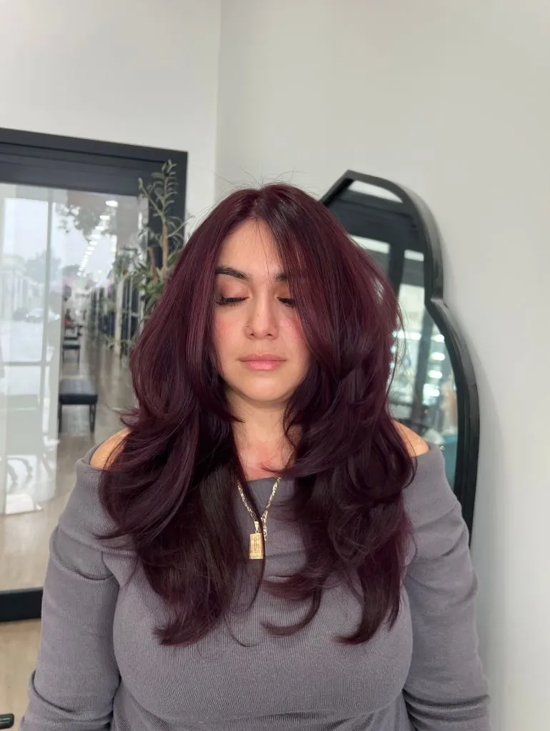 Fall Hairstyles 2026 Rich Plum Brunette with Voluminous Blowout Layers
