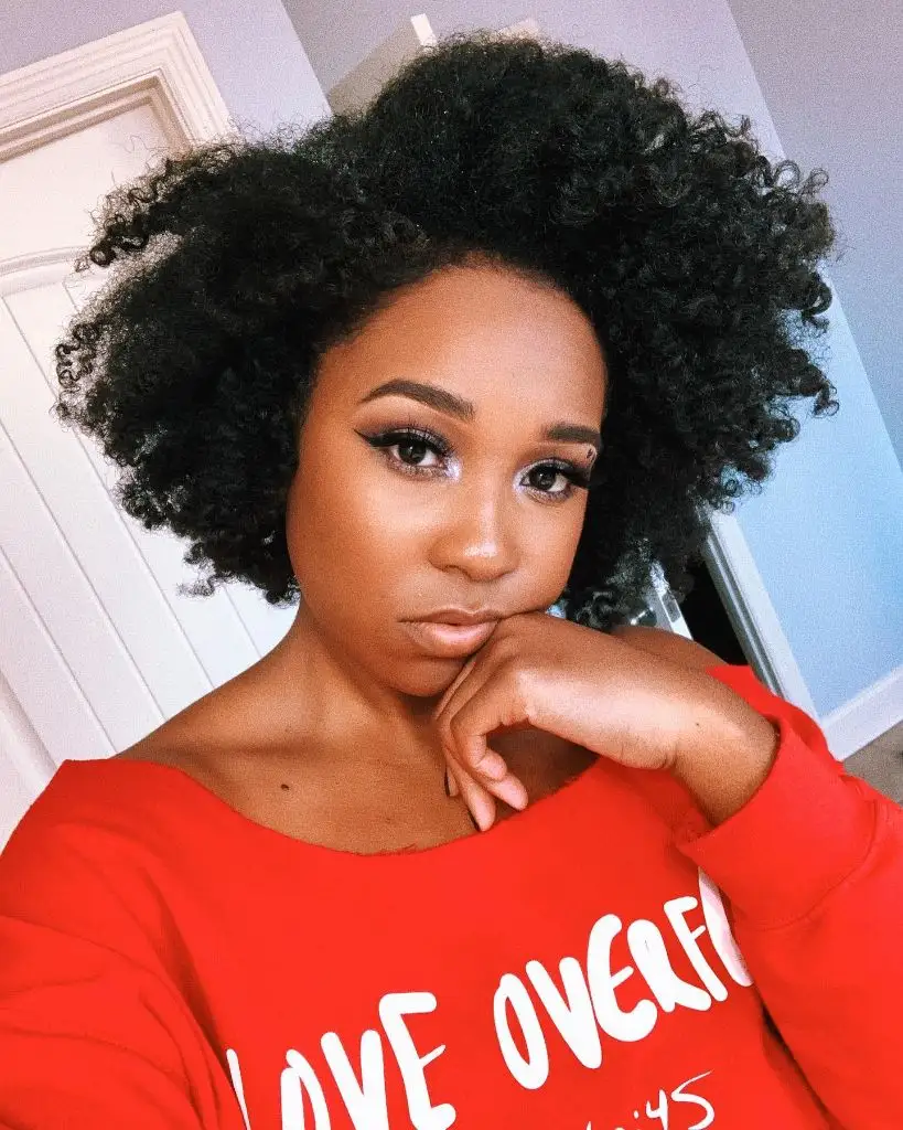 Fall Hair Colors for Black Women 2026 Natural Afro with Full Volume and Defined Curls