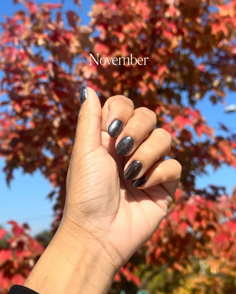 August Nails Color 2026 Charcoal Shimmer Cat-Eye Nails for a Moody November-Meets-August Finish