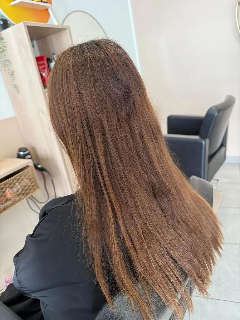 Fall Hair Colour Ideas 2026 Natural Chestnut Brown with Long Straight Layers