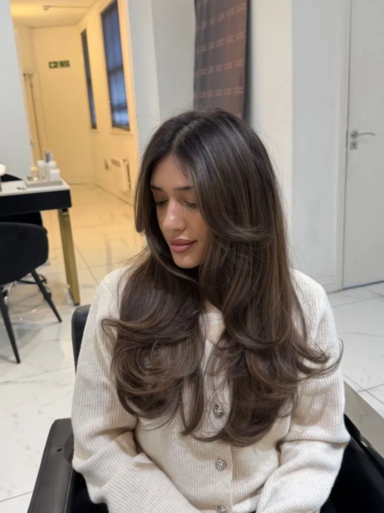 Fall Hair Colour Ideas 2026 Sleek Brunette Blowout with Face-Framing Layers for Autumn