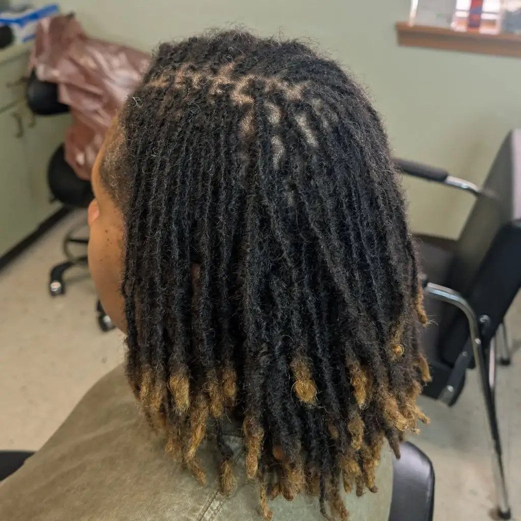Locs Hairstyles for Black Women 2026 Honey-Dipped Ombre Locs with Natural Texture and Flow