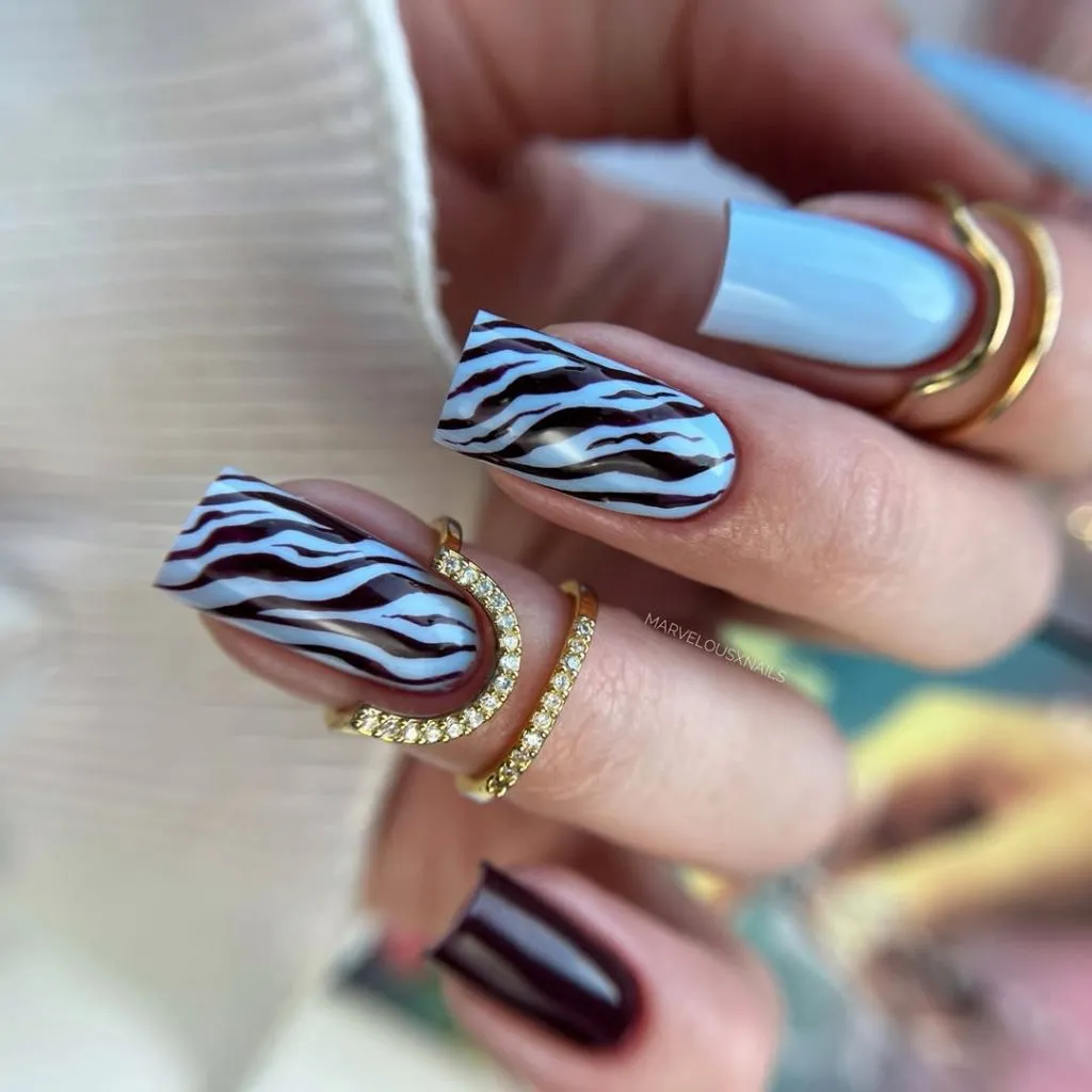 August Nails Color 2026 Baby Blue and Dark Brown Zebra Print Nails for a Bold August Animal Print Look