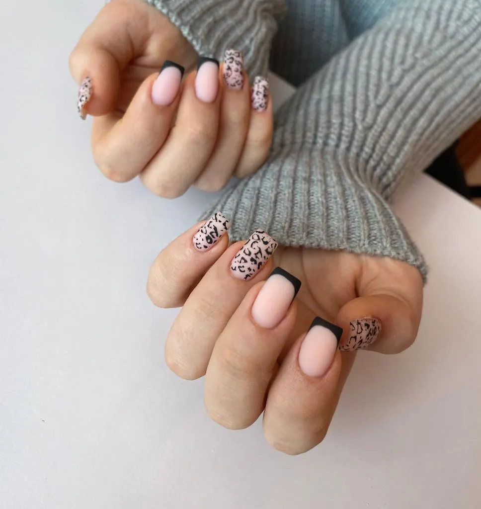 Fall Almond Nails 2026 Pink Leopard Print and Black French Tip Square Nails
