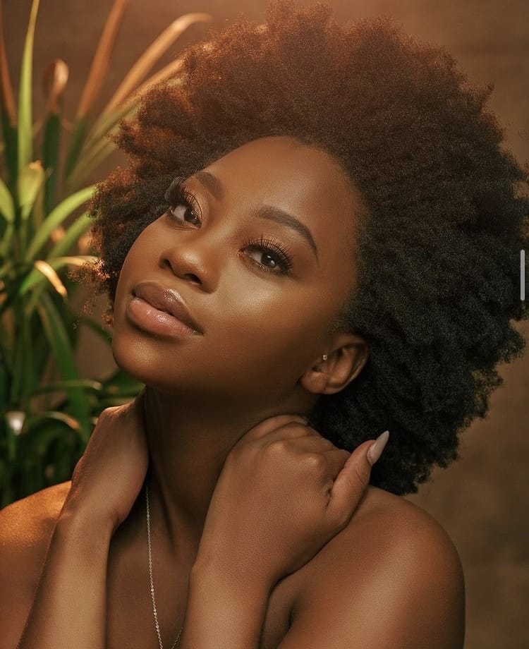 Rounded Afro with a Balanced Silhouette 4c hair style