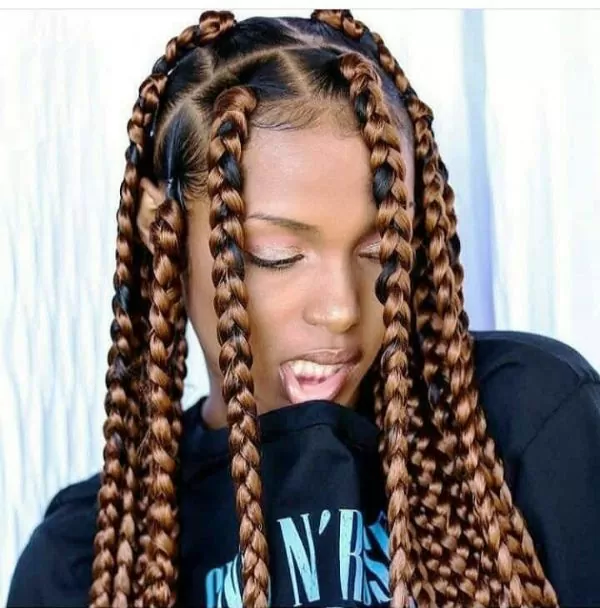 Long box braids with blonde highlights on a dark base