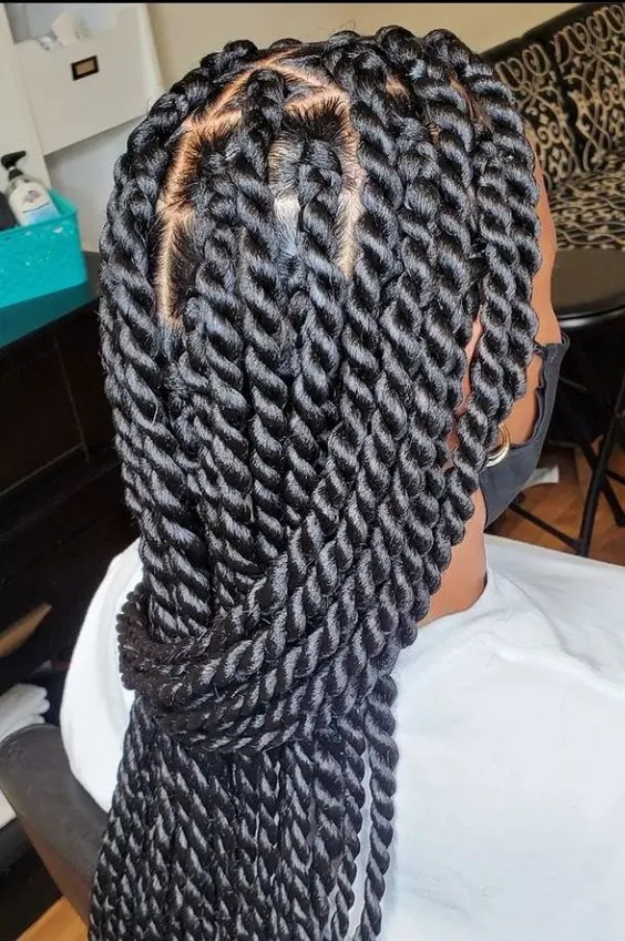 Jumbo Twists hairstyle