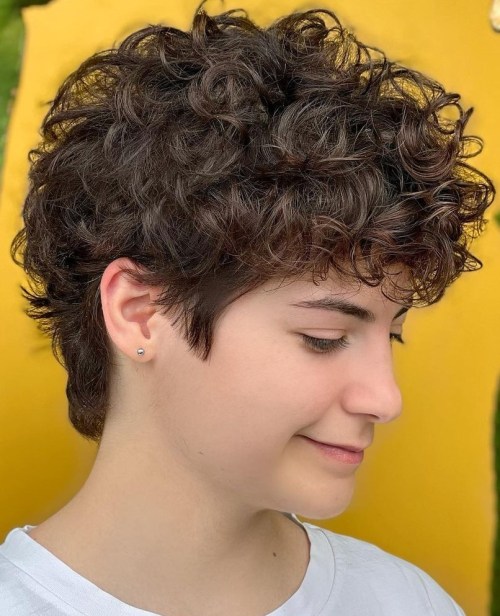 Naturally Curly Brown Pixie brown pixie haircut
