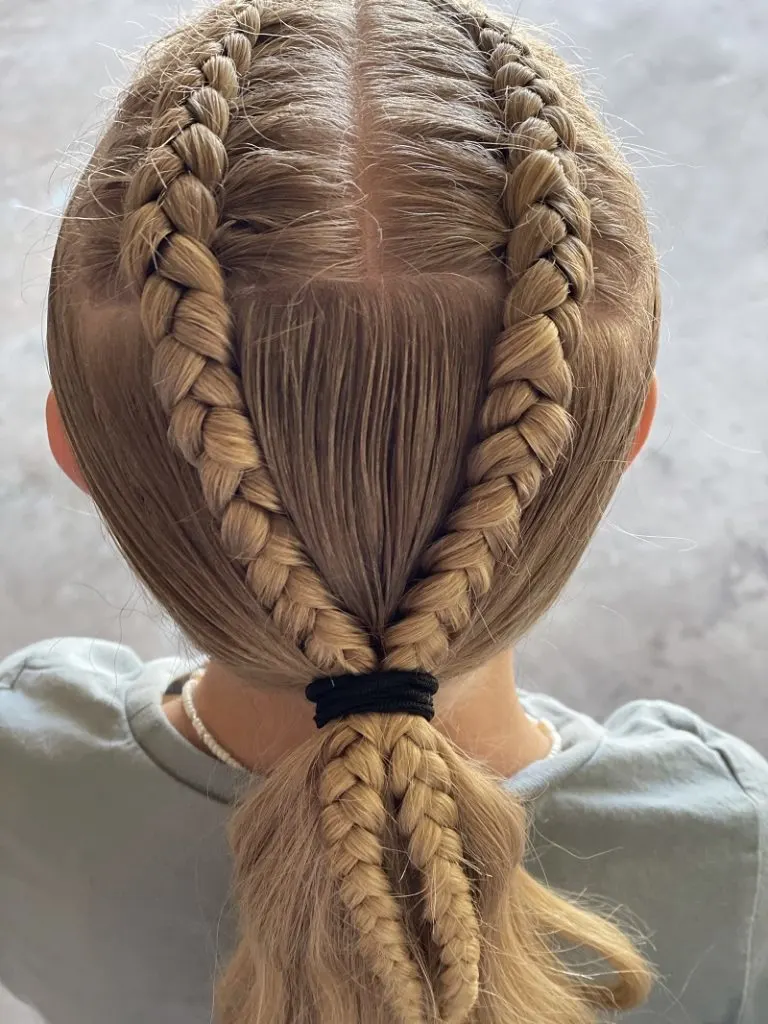 Dutch braid pigtails hairstyle