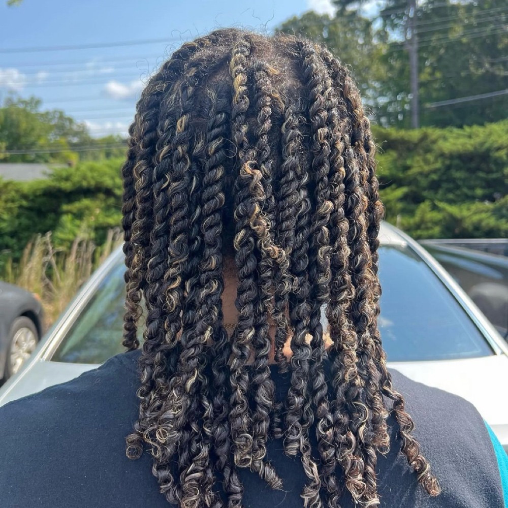 Mini Twists with Honey Blonde Tips hairstyle photo